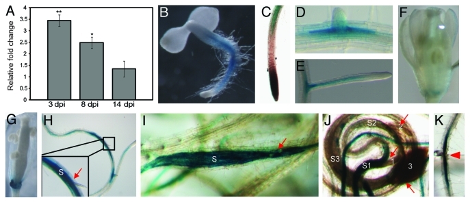 Figure 1.