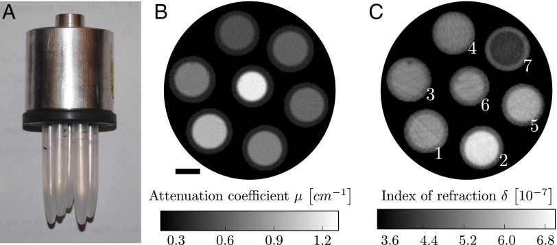 Fig. 1.