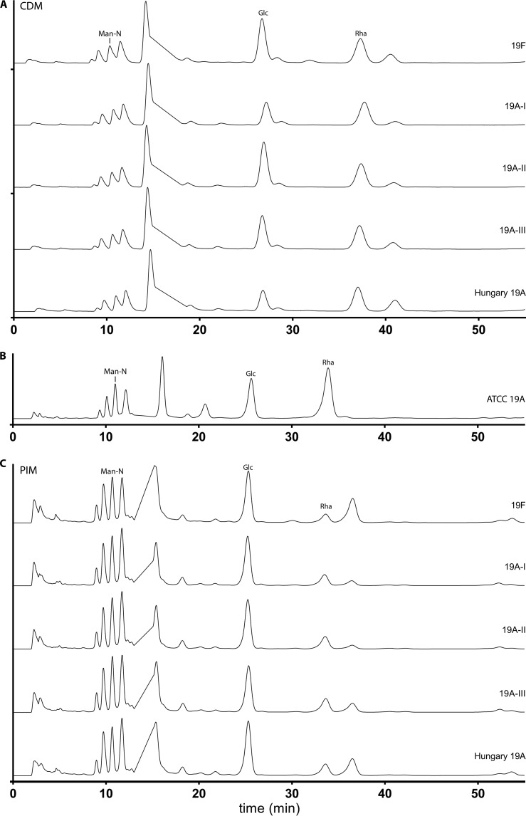 FIG 2