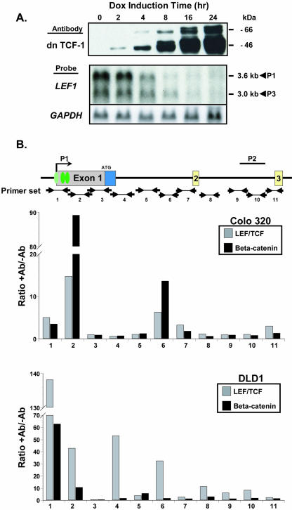 FIG. 3.