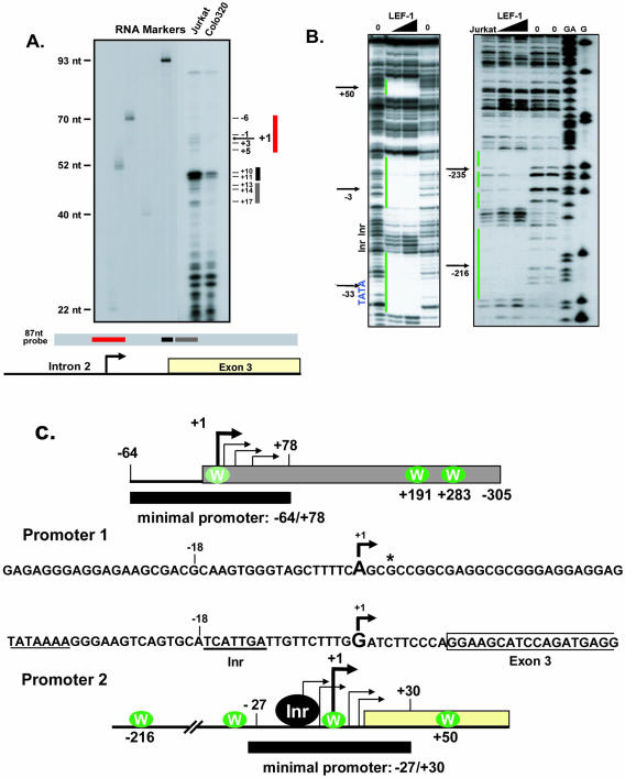 FIG. 7.