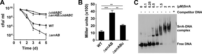 FIG 2