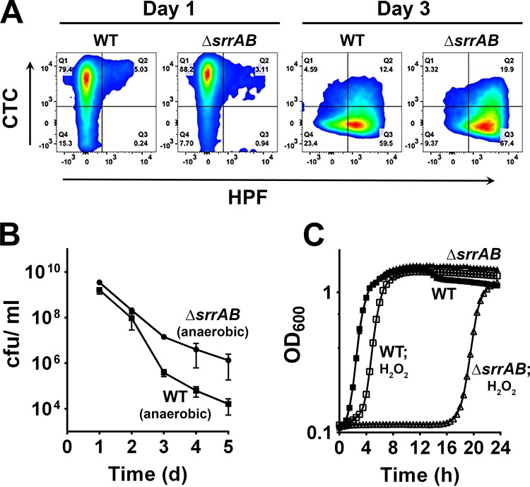 FIG 3