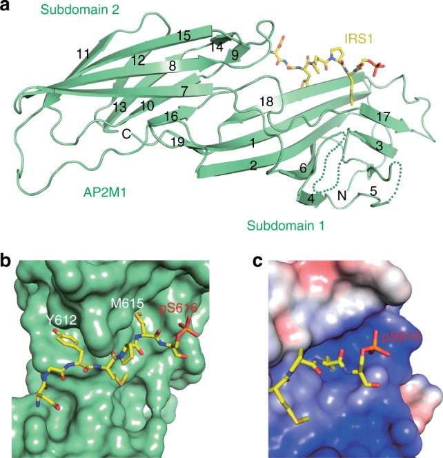 Fig. 6