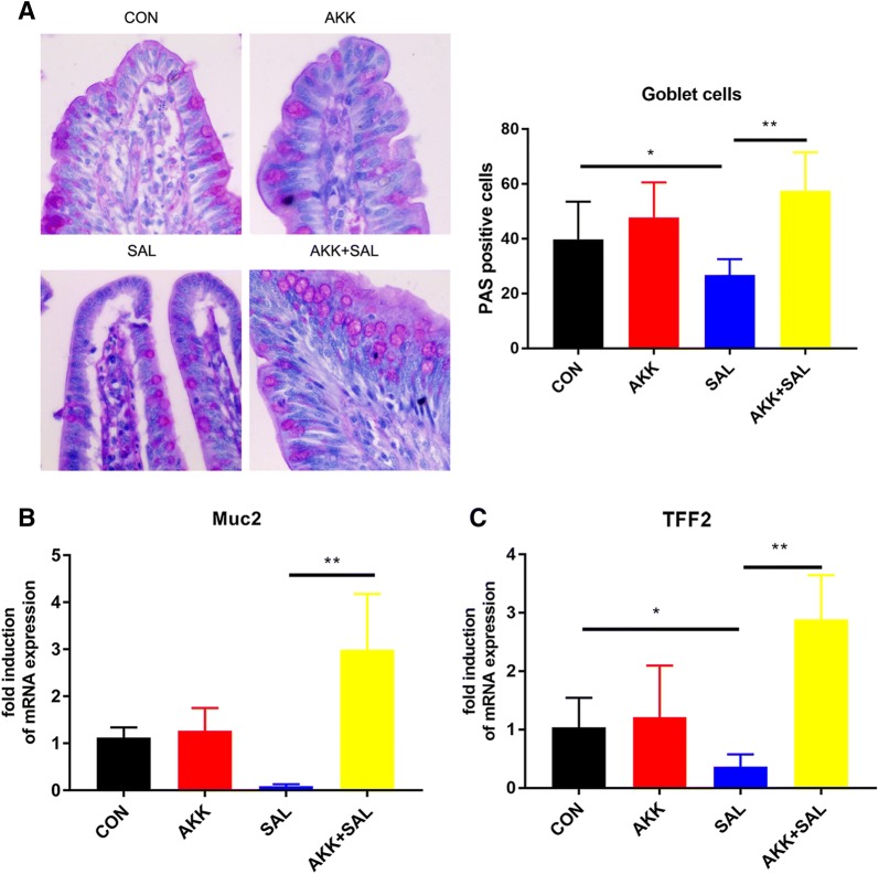 Figure 2