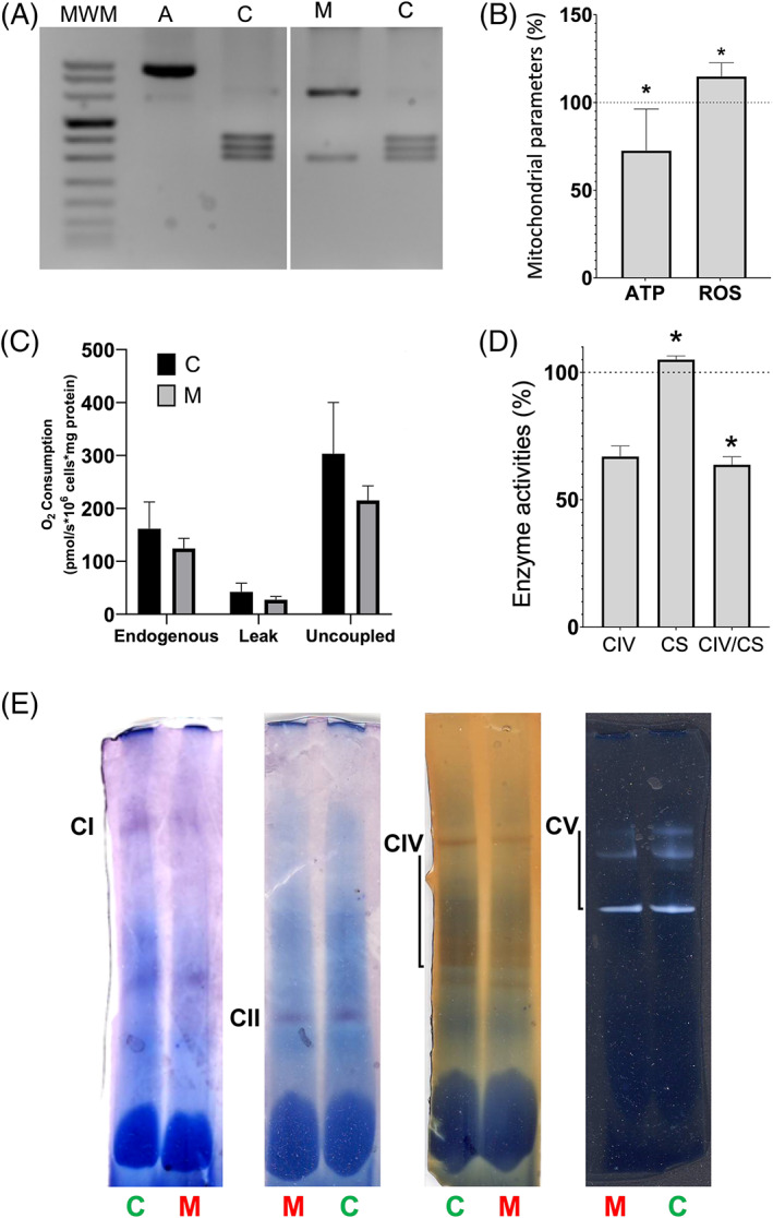 FIGURE 2