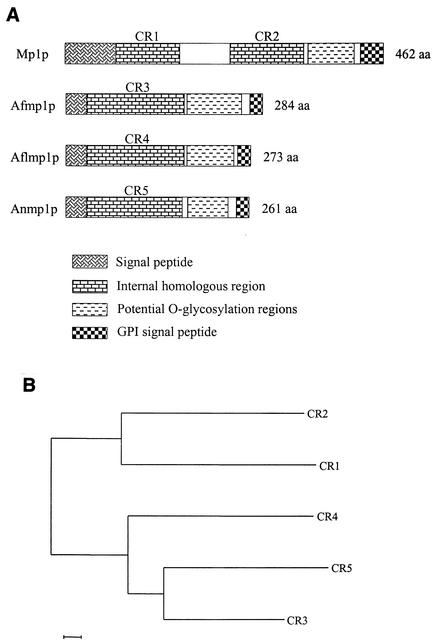 FIG. 2.