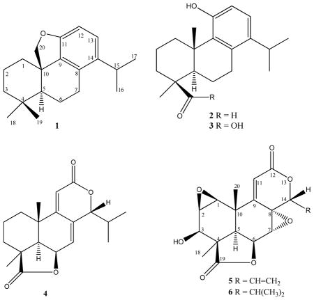 graphic file with name nihms272081u1.jpg