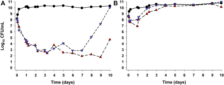 FIGURE 3