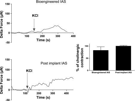 Fig. 14.