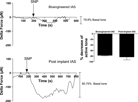 Fig. 10.