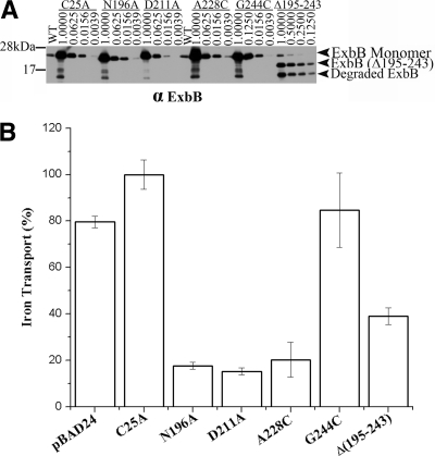 Fig. 3.