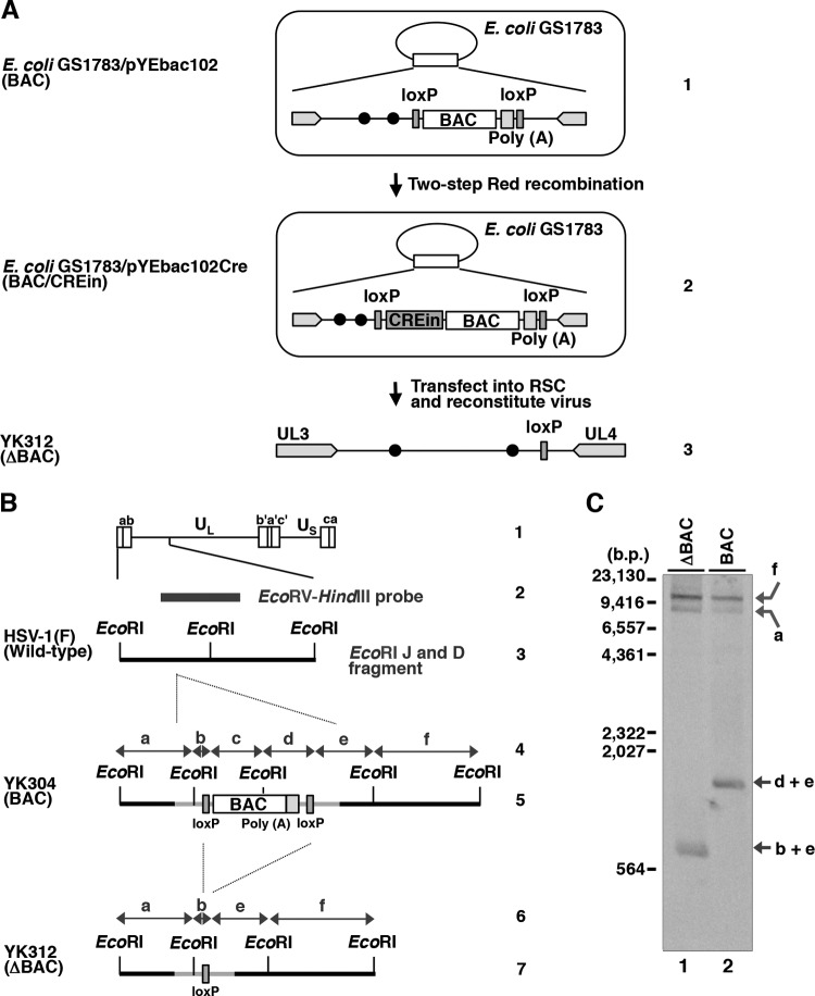 FIG 1