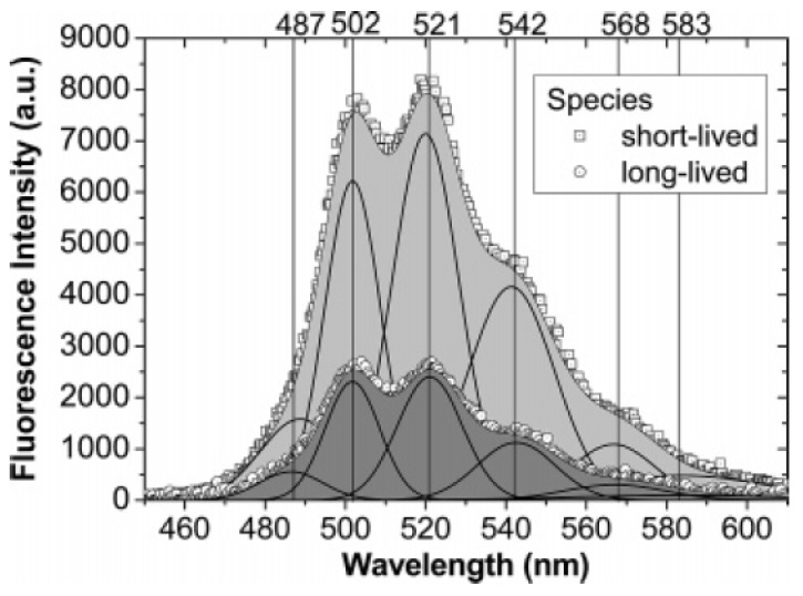 Figure 11