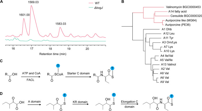 FIG 2