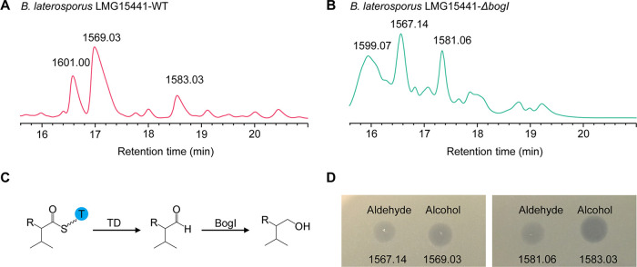 FIG 3