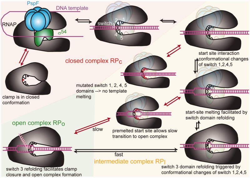 Figure 9.