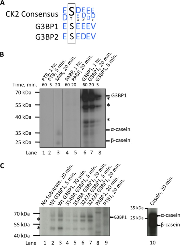 FIG 6