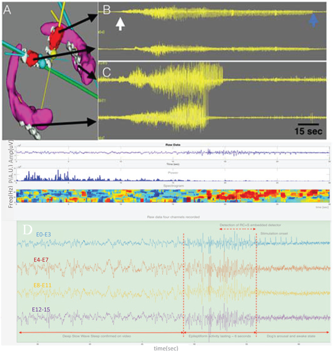 Figure 11: