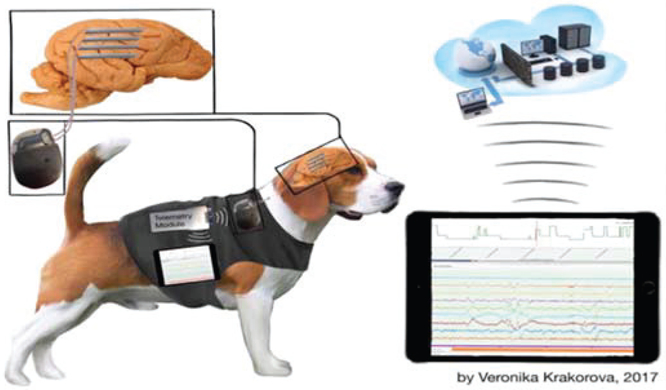 Figure 10: