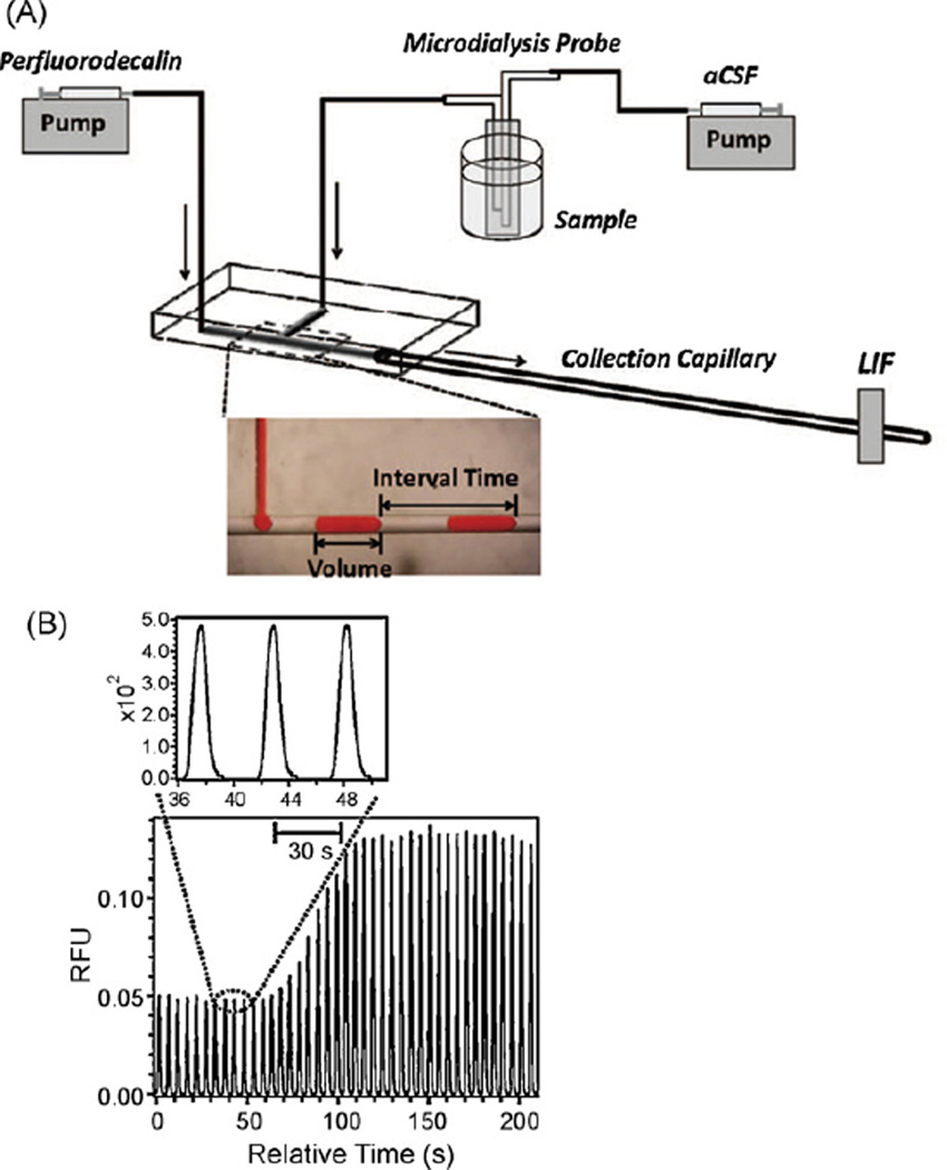 Fig. 10