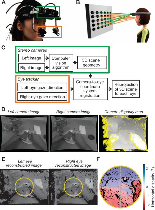 Fig. 2