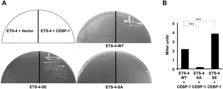 Fig 5