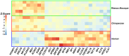 <sc>Fig</sc>. 2.