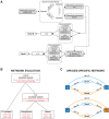 <sc>Fig</sc>. 1.