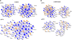 <sc>Fig</sc>. 6.