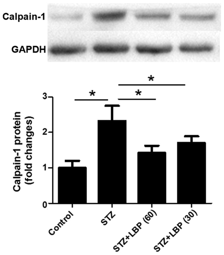 Figure 5.