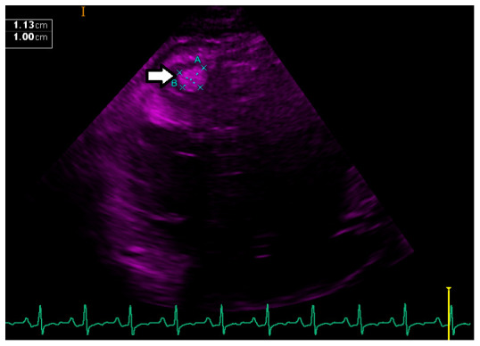Figure 4. 
