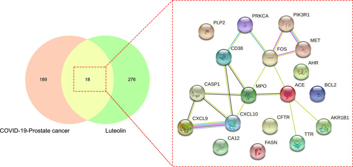 Figure 3