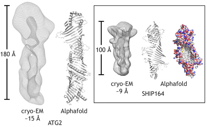 Fig. 3.