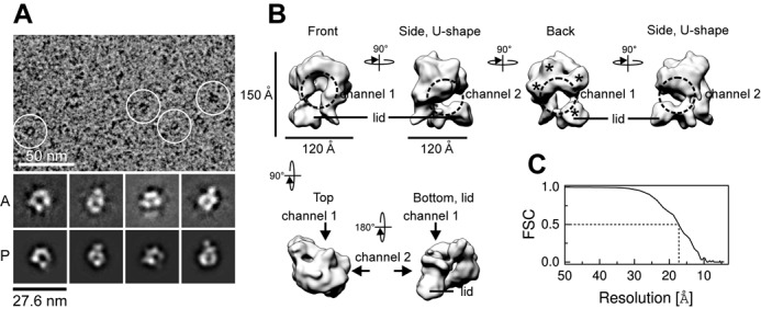 Figure 3.