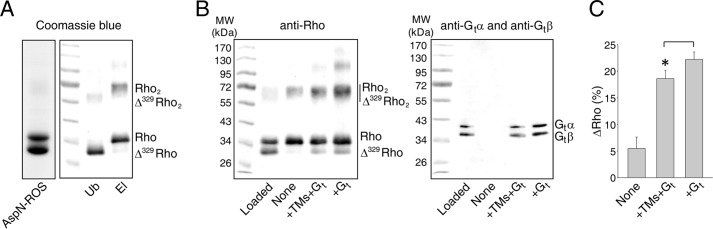 FIGURE 10.