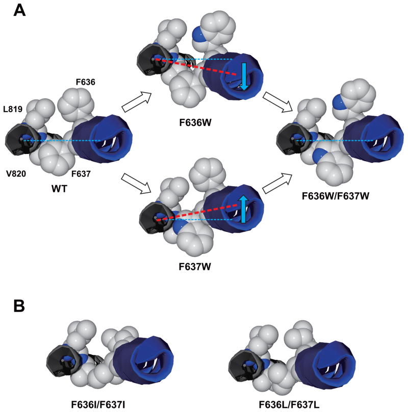 Fig. 10