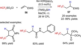 Scheme 8