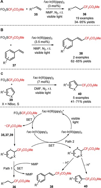 Scheme 1