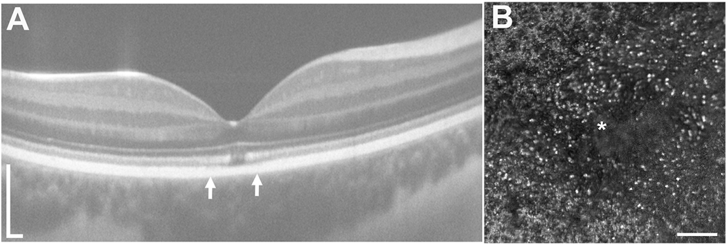 Fig. 7.