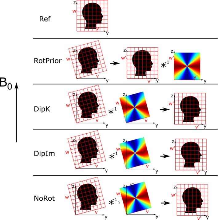 MRM-29550-FIG-0002-c