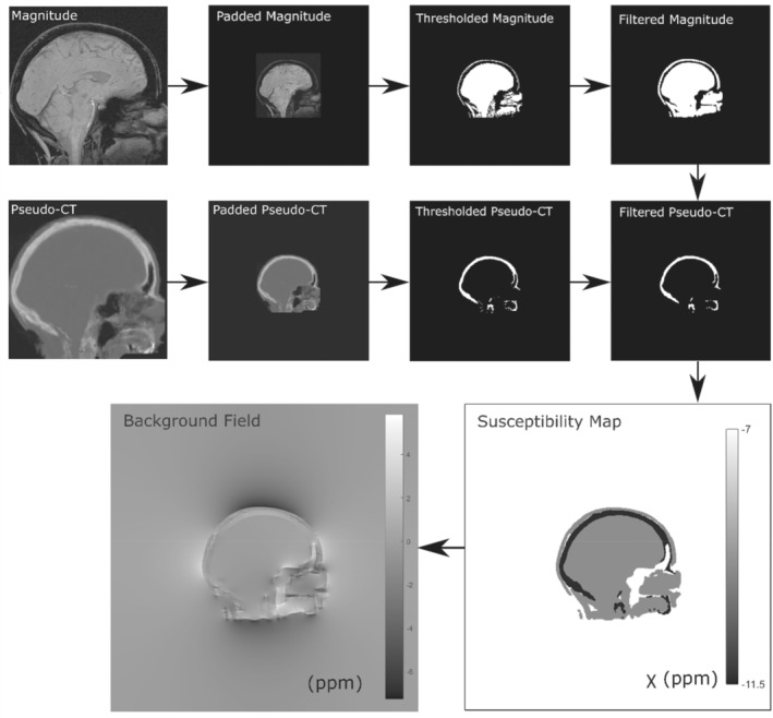 MRM-29550-FIG-0003-b