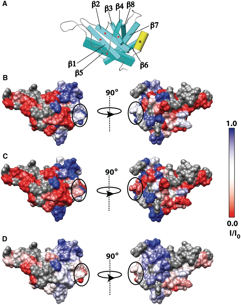 Figure 7.