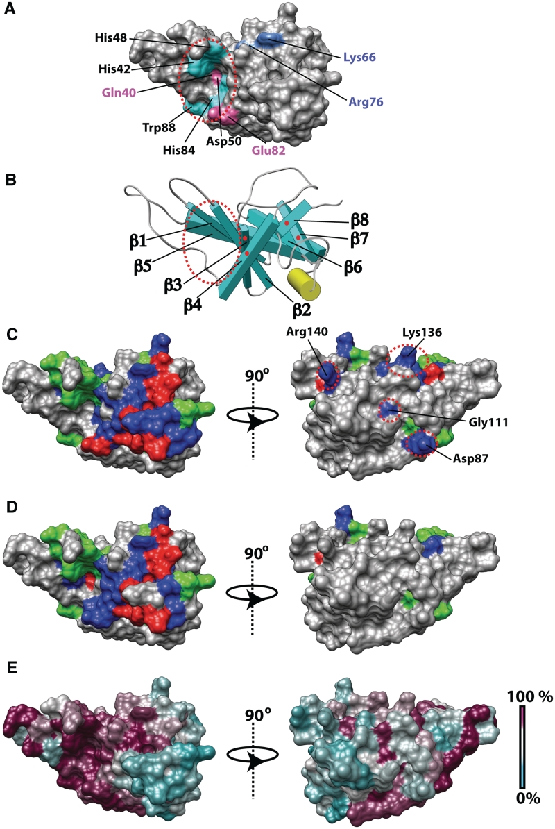 Figure 5.