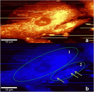 Fig. 4