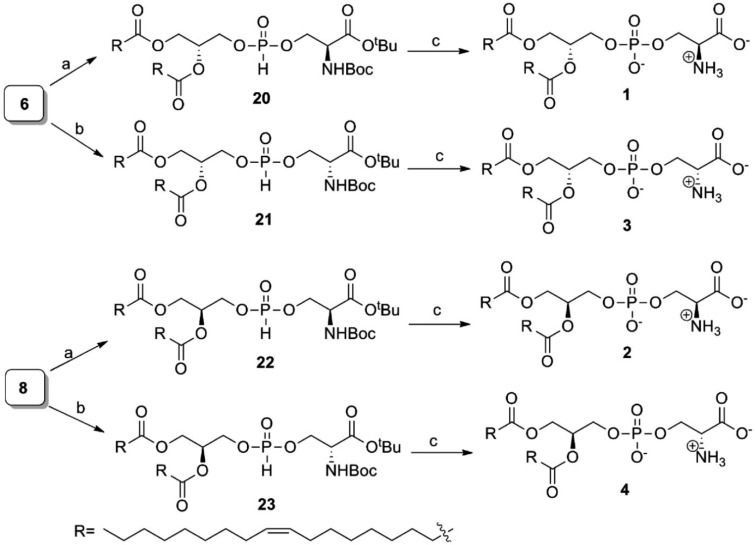 Scheme 3