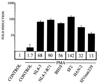 FIG. 1