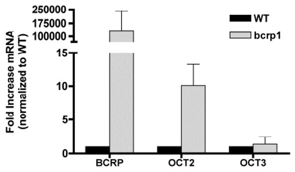 Figure 5