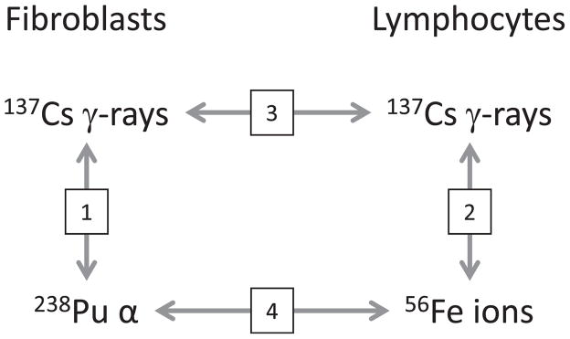 FIG. 6