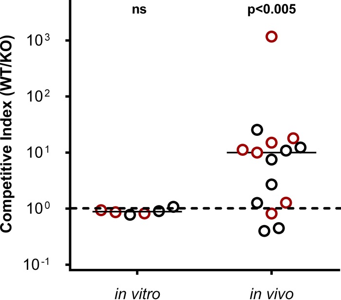 FIG 5